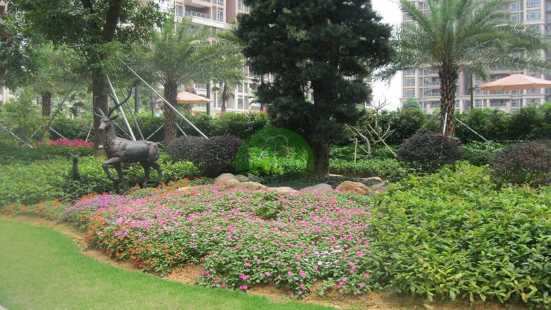 垂直绿化植物墙每平米造价，你了解多少？**