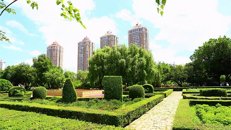 花卉租摆与购买：性价比背后的考量**