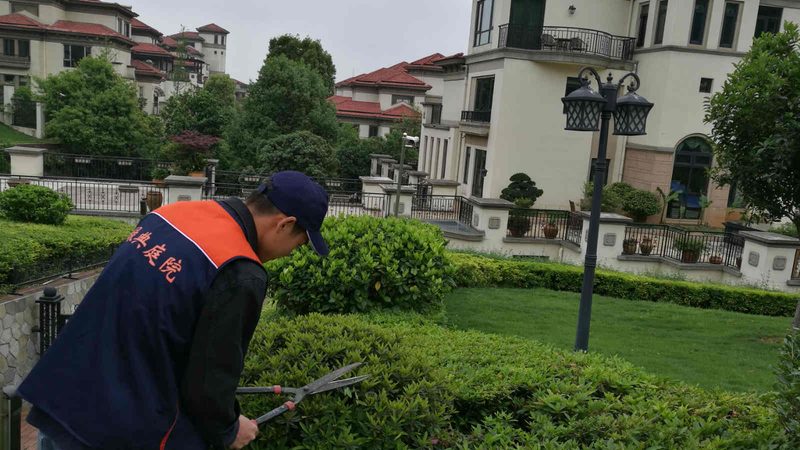别墅花园设计公司服务流程揭秘：从规划到成型的秘密