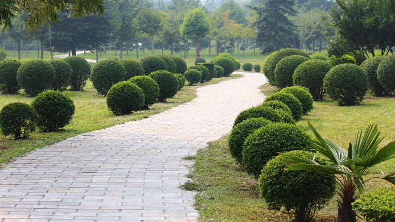 小区绿化植物选择，如何规避常见误区