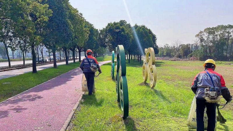 市政绿化养护，这些规范你了解吗？**