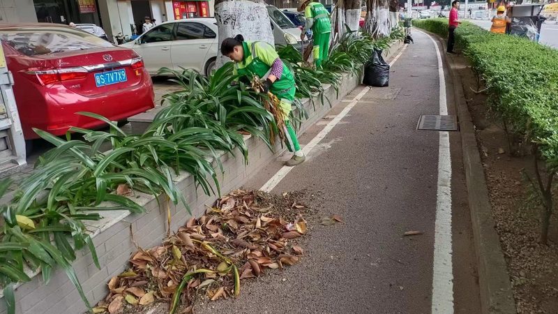 别墅花园景观设计：如何打造私人绿色秘境**