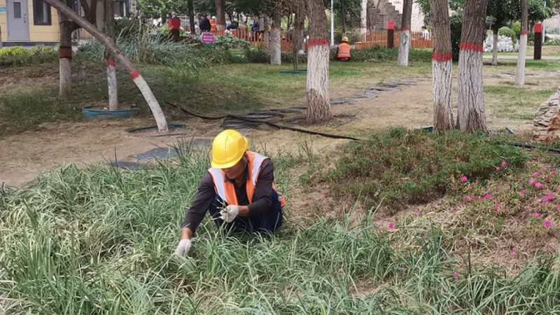 根据材质，屋顶绿化排水板主要分为以下几类：