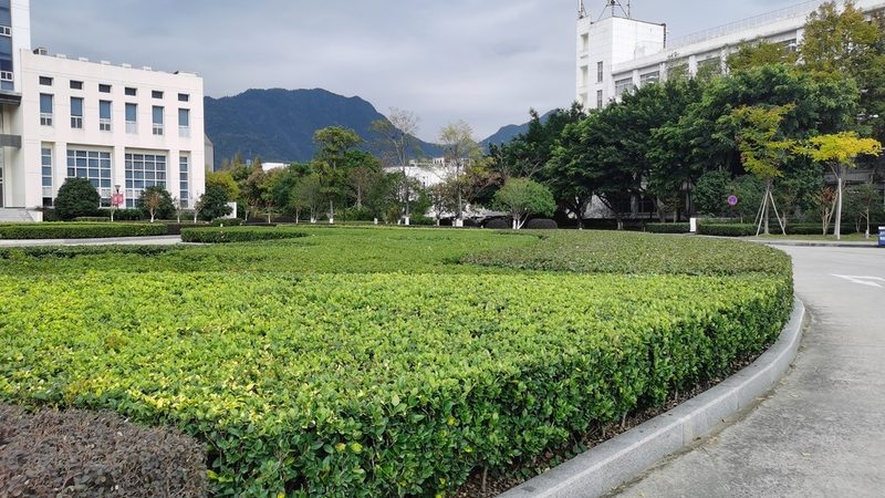 立体绿化技术规范标准DB11：解读与实施要点