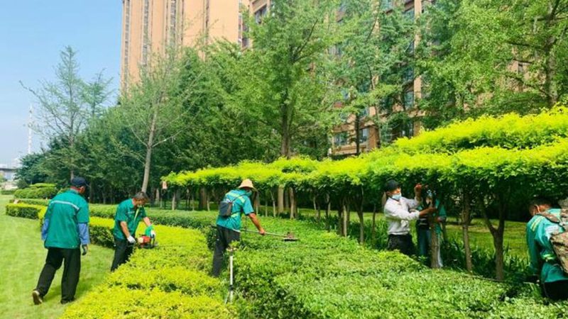 别墅庭院设计施工，如何选择专业团队？**